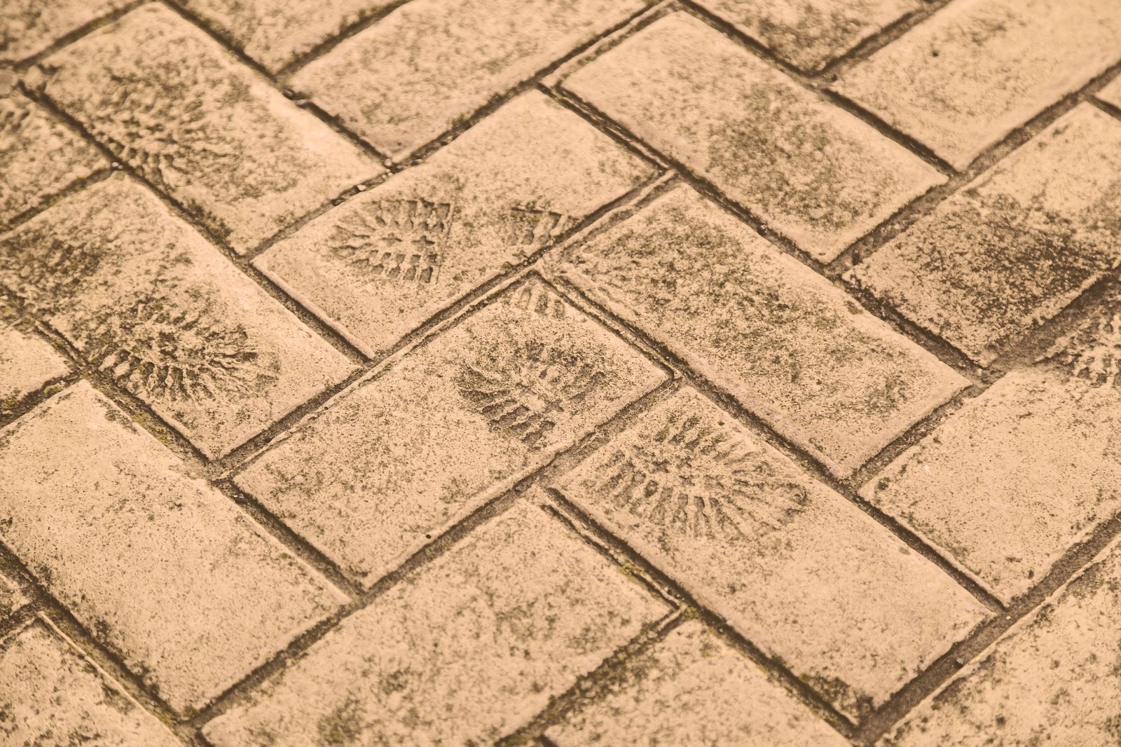 Shoeprints on a stamped concrete pattern design.