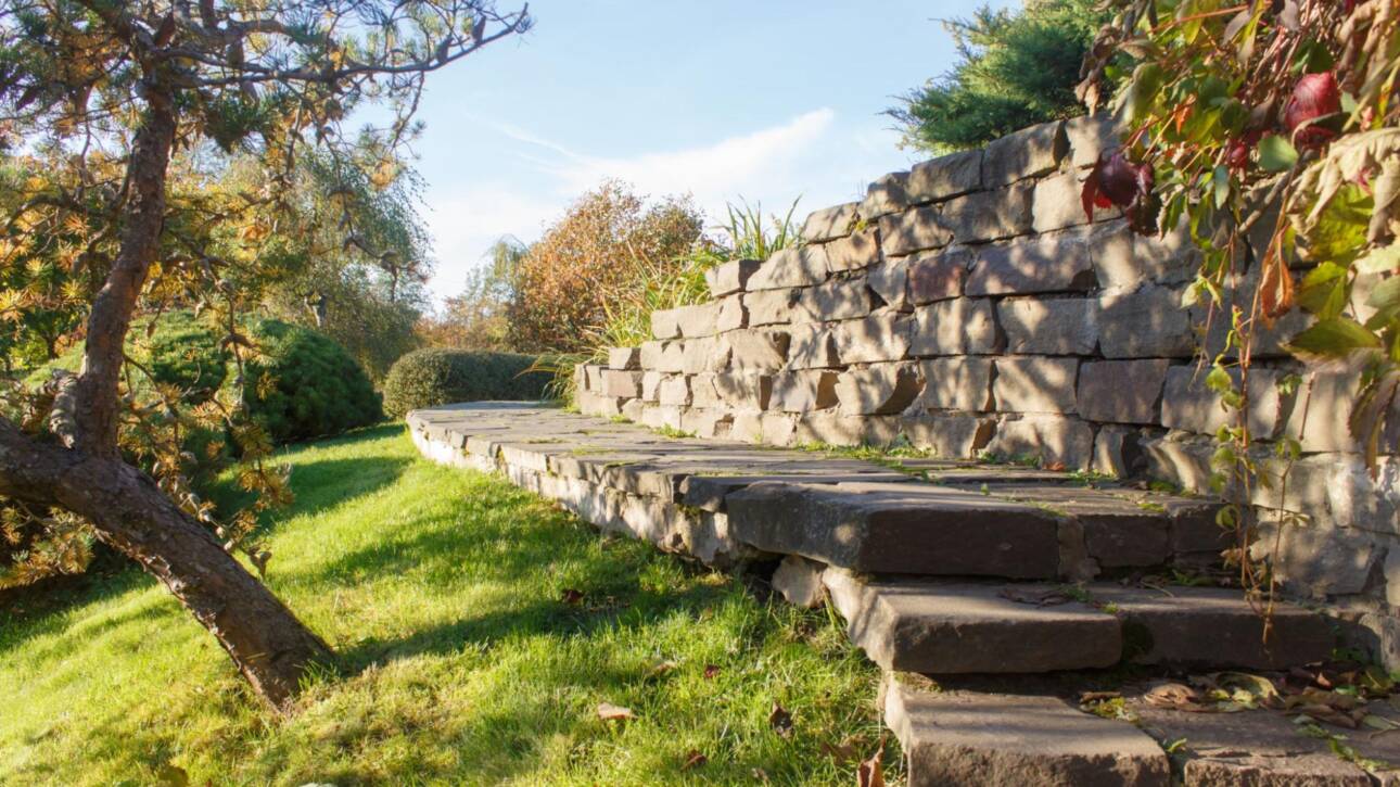 A garden with concrete steps and a retaining wall on a slope.
