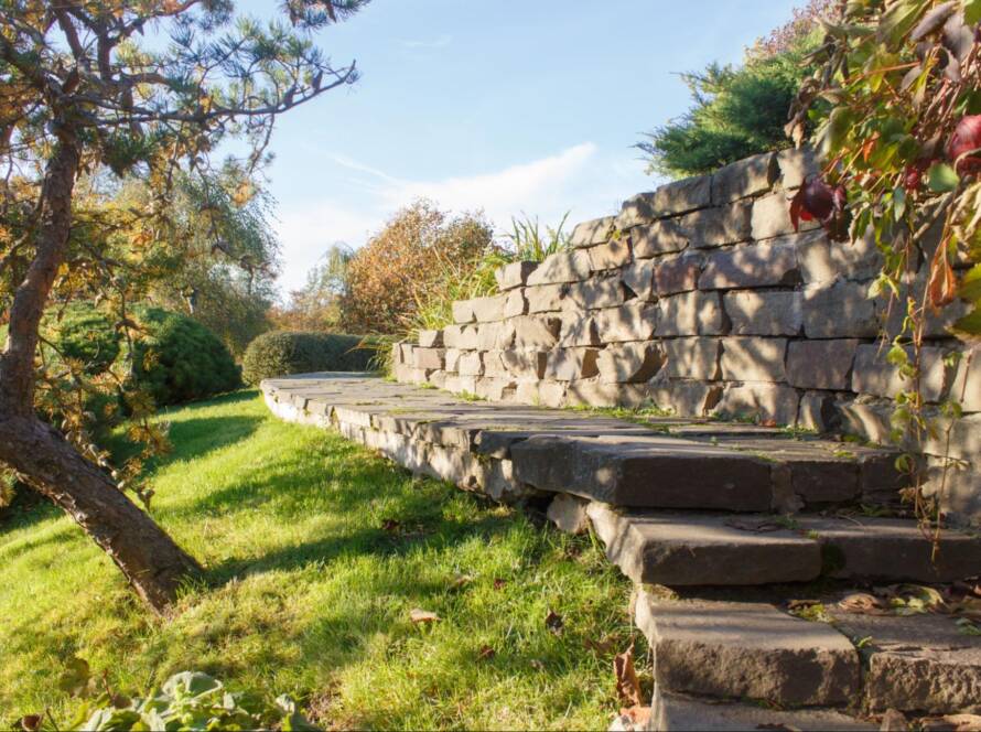A garden with concrete steps and a retaining wall on a slope.