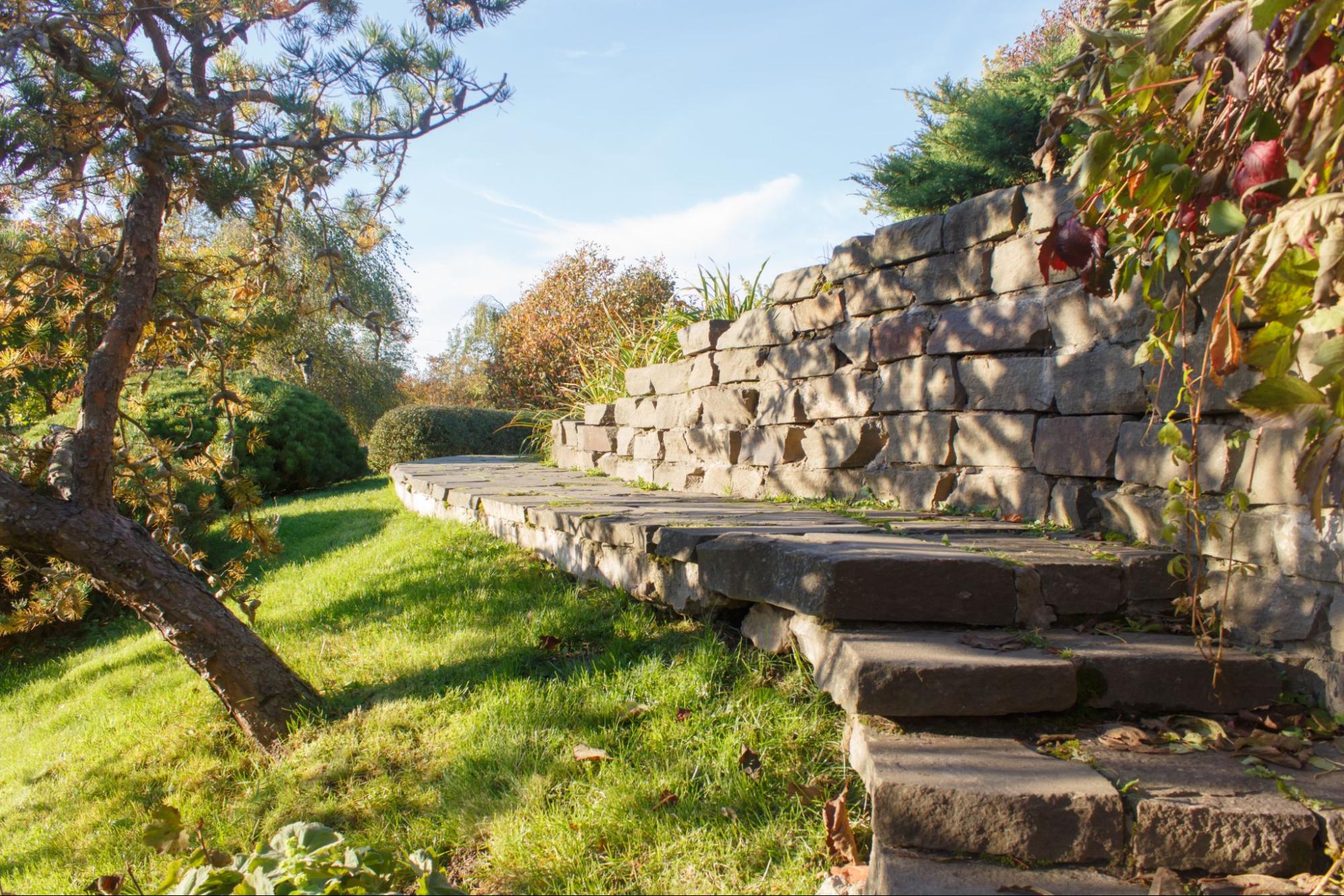 A garden with concrete steps and a retaining wall on a slope.
